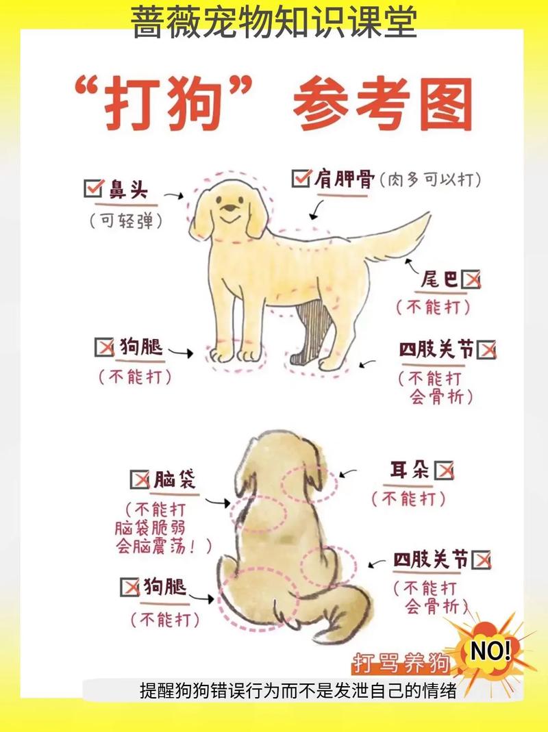 怎么打狗训狗狗 