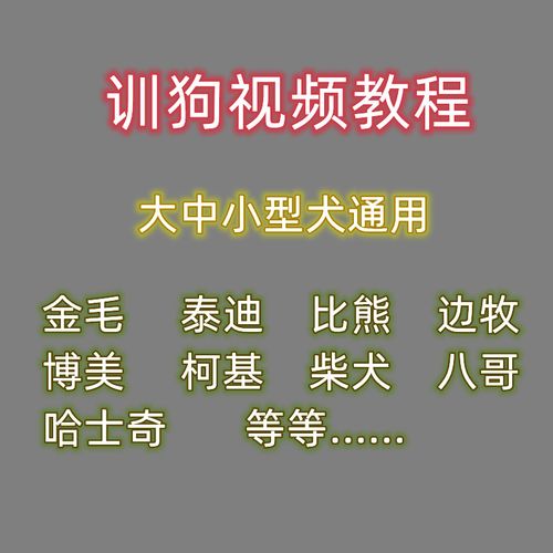  训狗实际教程视频免费播放