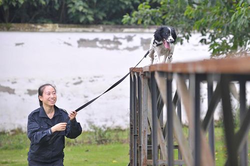 重庆姑娘训狗视频大全 