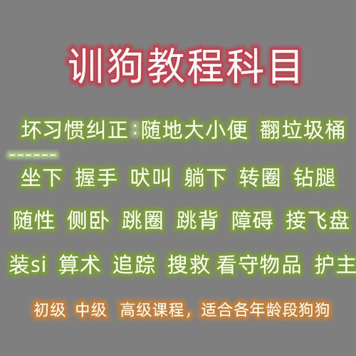 训狗机构视频教程 