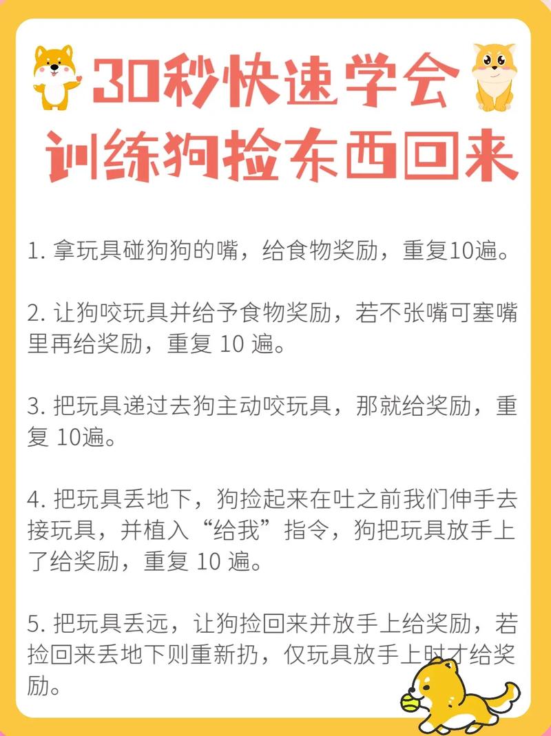  如何训练狗捡猎物