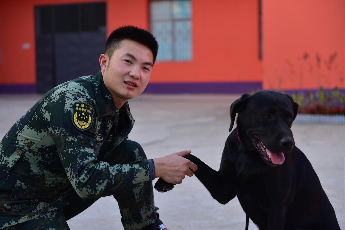 四川训狗学校训犬高坪基地 