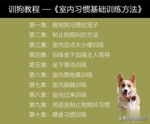 训狗教程值得买吗 