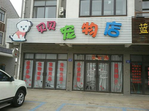  贝贝宠物店怎么样