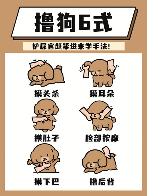  训练泰迪犬的技巧