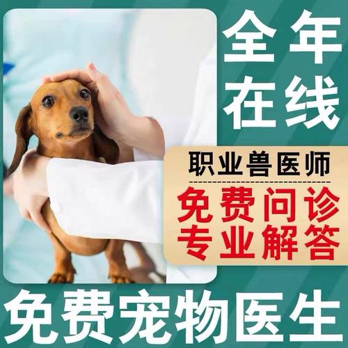  金毛幼犬训狗教程图片