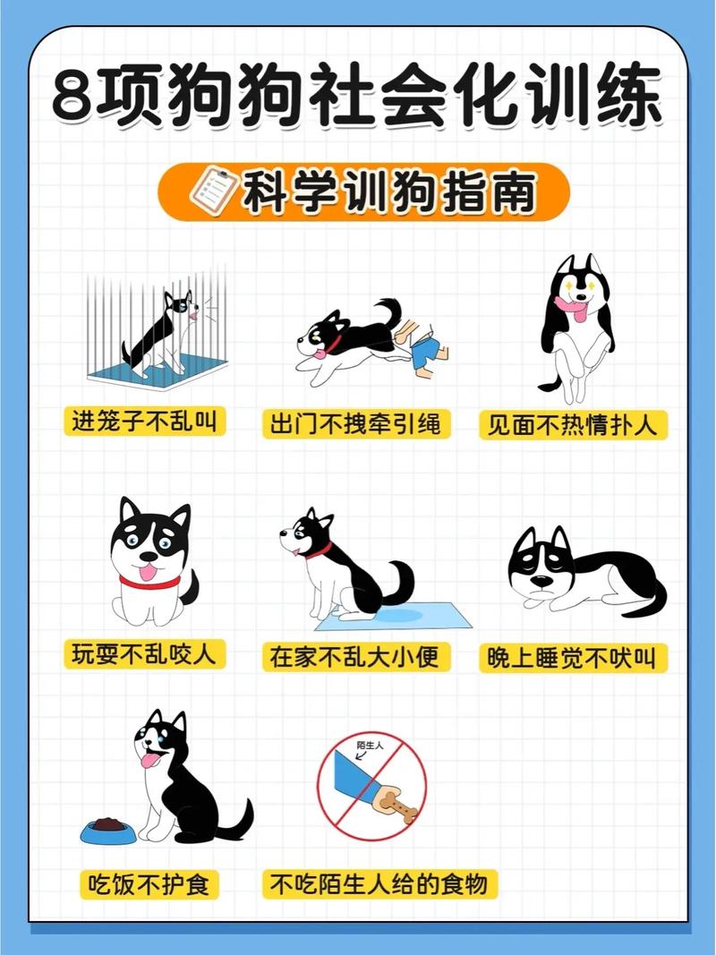  大狗训犬教程图片大全