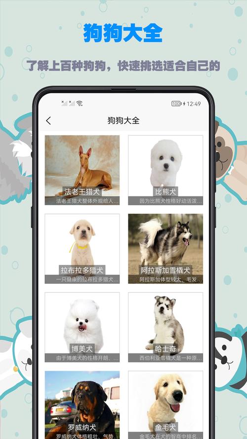  免费训狗app