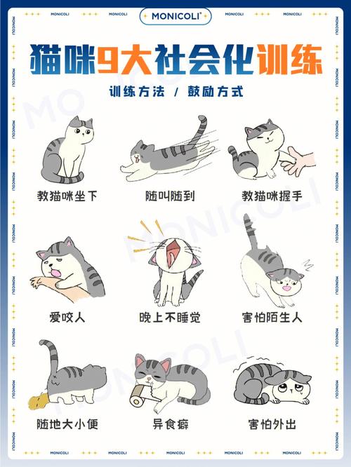 训狗人训猫教程图片视频 