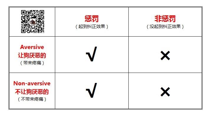 训狗条件反射教程视频 