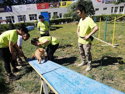 成都郫县训犬基地训狗学校 