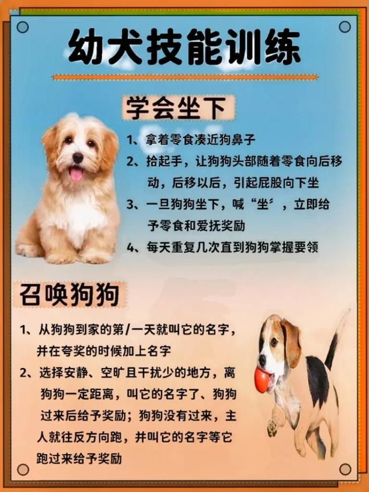  狗狗很难训