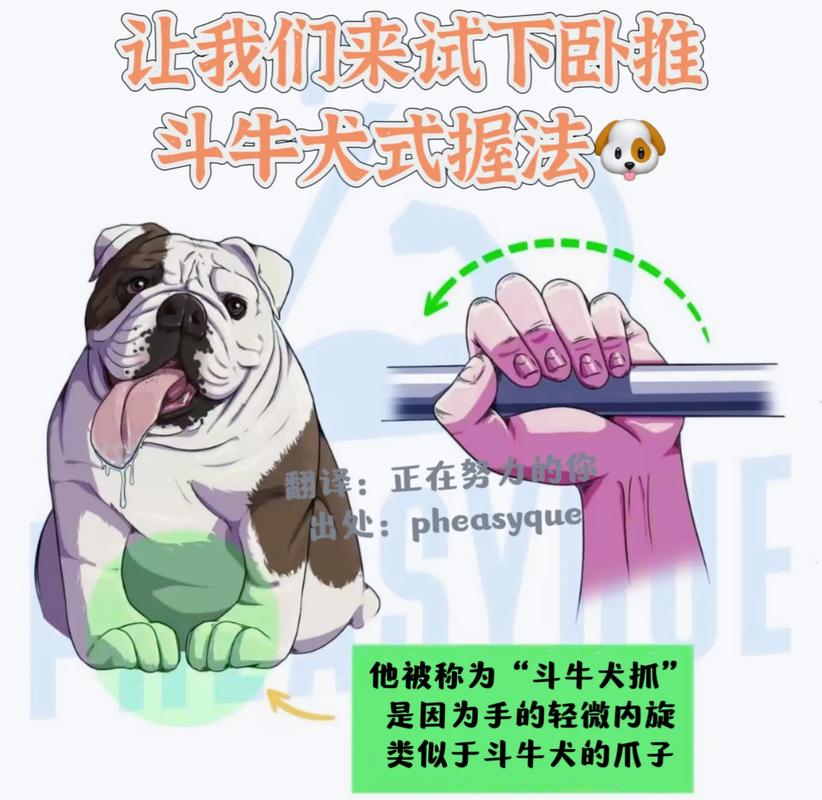  训狗教程斗牛握手图片