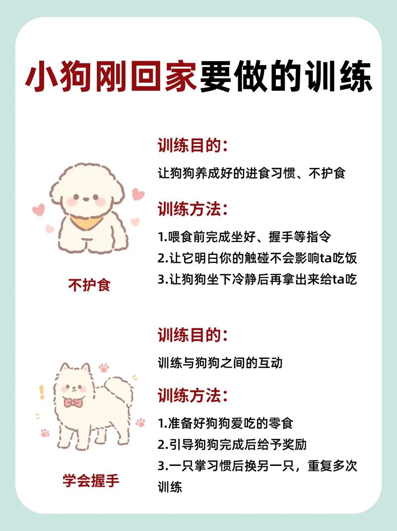  怎么训练狗狗吃饱了就不吃了