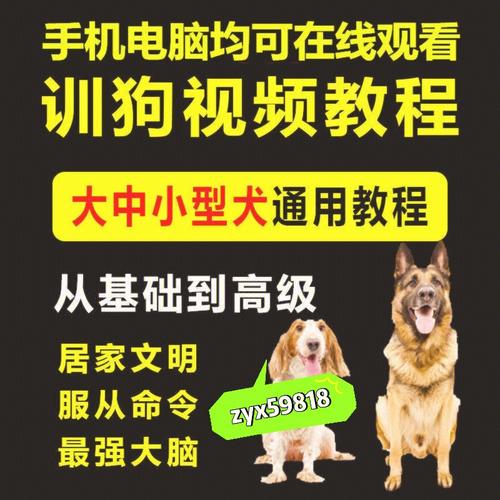 斑点狗训狗全套教程 