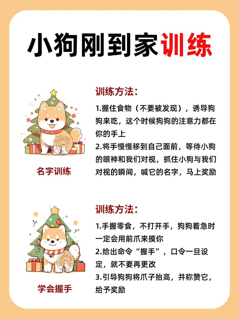  训狗教程军犬怎么训的视频