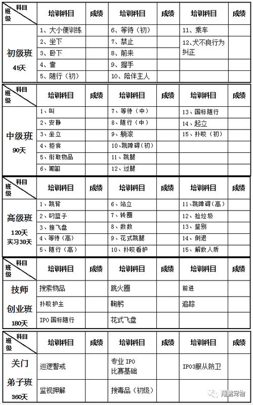  学训狗师需要具备什么